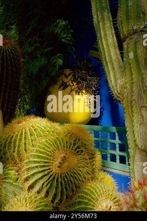 La maison du couturier Yves Saint Laurent. Le jardin Majorelle à Marrakech au Maroc au Maghreb en Afrique du Nord. Banque D'Images