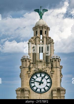 Vue rapprochée des tours d'horloge du Royal Liver Building avec cormorant Liver Bird et la plus grande horloge du Royaume-Uni, Pier Head, Liverpool, Angleterre, Royaume-Uni Banque D'Images