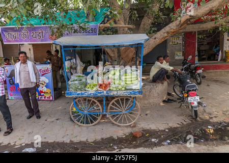 Tilora, Ajmer, Rajasthan, Inde. 9 novembre 2022. Un chariot poussant avec des légumes frais au Rajasthan. Banque D'Images