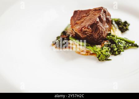 Le 'brasato al Barolo' est un précieux bœuf rôti braisé typique de la région du Piémont, dans le nord-ouest de l'italie. Ici dans un placage gourmand. Banque D'Images