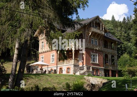 Miedzygorze, Pologne - 19 juin 2024 : vieilles belles maisons de villa historique dans le village de Miedzygorze dans les montagnes du massif de Snieznik, voïvodes dolnoslaskie Banque D'Images