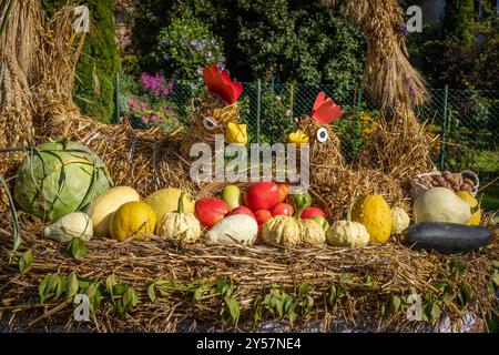 Domanice, Pologne - 24 août 2024 : décoration automnale à la fête des moissons de la municipalité de Mietkow. Poulets mignons en osier, citrouilles, couleur Banque D'Images