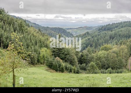 Paysage avec clairière verte sur la forêt de sapins dans la vallée verte, tourné en été lumière nuageuse lumineuse près de Durbach, Forêt Noire, Baden Wuttenberg, Allemagne Banque D'Images
