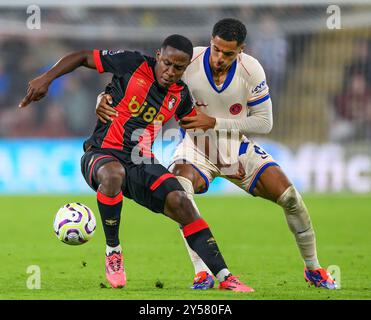 Londres, Royaume-Uni. 14 septembre 2024. 14 septembre 2024 - AFC Bournemouth v Chelsea - premier League - Vitality Stadium. Luis Sinisterra retient Levi Colwill. Crédit photo : Mark pain/Alamy Live News Banque D'Images