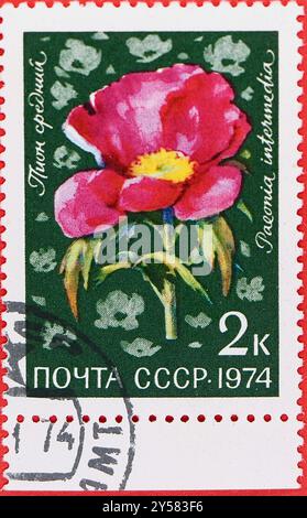 Photo d'un timbre-poste russe à 2 kopek avec une illustration d'une fleur de pivoine Paeonia intermedia fleurs des prairies alpines d'Asie centrale 1974 Banque D'Images