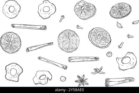 Tranches d'orange, pomme, bâtonnets de cannelle, clous de girofle, badian, et poivre grains vecteur d'épices d'hiver ensemble d'illustration isolé. Ingrédients biologiques sains Illustration de Vecteur