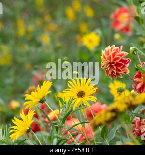 Fleurs colorées dans le jardin de la maison du peintre impressionniste Claude Monet à Giverny, France. Banque D'Images