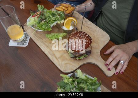 Hamburger végétarien avec frites et salade servi sur une planche de bois, Bavière, Allemagne, Europe Banque D'Images