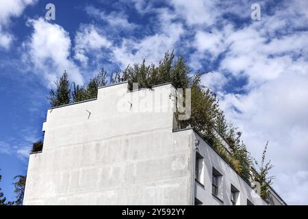 Jardin sur le toit d'une maison plantée d'arbres, Berlin, 14.09.2024. Les jardins sur le toit créent un espace pour la verdure dans les zones urbaines, Berlin, Berlin, Allemagne, Europe Banque D'Images