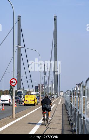 Le pont Theodor-Heuss, traversée du Rhin, pont à haubans, premier pont routier de la famille des ponts Duesseldorf, est délabré, en béton Banque D'Images