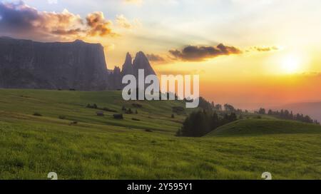 Montagne Schlern avec pâturage au coucher du soleil, Tyrol du Sud, Italie, Europe Banque D'Images