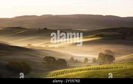 Aube en Toscane, Val d'Orcia, Italie, Europe Banque D'Images