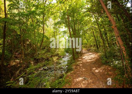 Italie Piémont Orrido de Chianocco Parc - ruisseau, chemin et forêt Banque D'Images