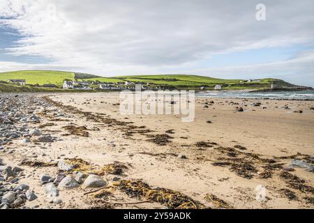 Port Logan et Harbour Wall from the Rocky Foreshore, Port Logan, Dumfries & Galloway, Écosse, Royaume-Uni, Europe Banque D'Images