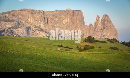 Montagne Schlern à la lumière du matin, Seiser Alm, Tyrol du Sud, Italie, Europe Banque D'Images