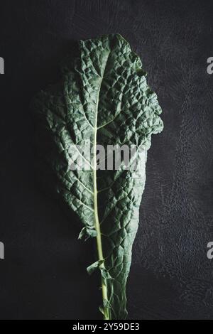 Cavolo nero noir curly kale légume sur noir Banque D'Images