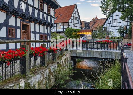 Photos de Quedlinburg dans les montagnes du Harz Selketalstieg Banque D'Images