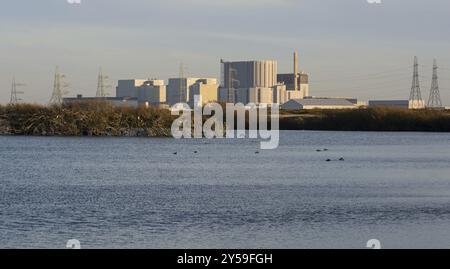 Centrale nucléaire de Dungeness de la réserve RSPB, Kent, Angleterre, Royaume-Uni, Europe Banque D'Images