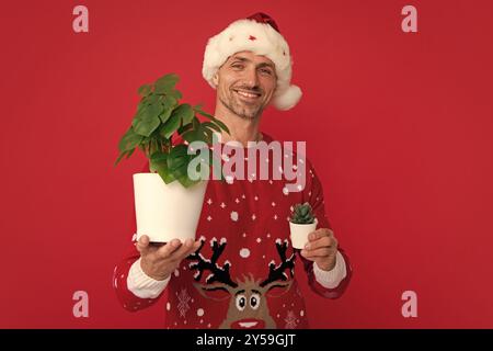 Pot de conservation de Santa avec plante. Homme en vacances chandail et chapeau de père Noël sur fond de studio. Solde de Noël ou offre spéciale hiver. Banque D'Images