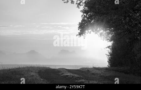 Soleil brille à travers une lisière de forêt, au-dessus d'une ruelle et d'un pré, couvert de brouillard, près de Schwabisch Hall, Allemagne. Un concept de liberté. Noir et blanc Banque D'Images