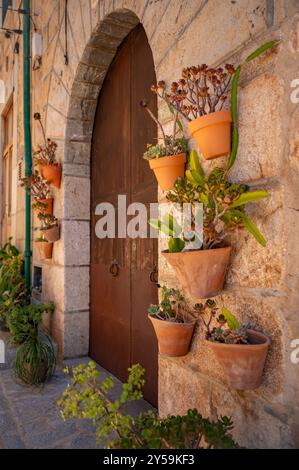 Porte rustique avec des pots de fleurs dans une ruelle pittoresque à Majorque, plan vertical, Valldemossa, majorque espagne Banque D'Images