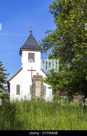 Photos de Schielo dans les montagnes du Harz Banque D'Images