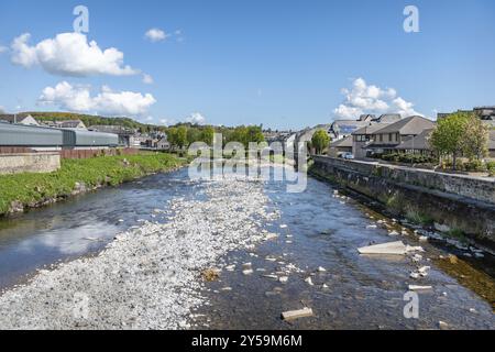 Teviot River, Hawick, Écosse, Royaume-Uni, Europe Banque D'Images