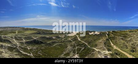 Paysage de dunes sur Holmsland Klit près de Hvide Sande au Danemark Banque D'Images