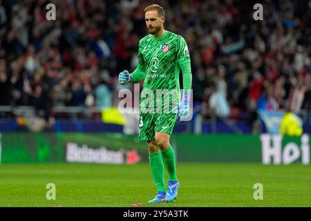 Madrid, Espagne. 19 septembre 2024. Jan Oblak de l'Atletico de Madrid lors du match de l'UEFA Champions League entre l'Atletico de Madrid et le RB Leipzig a joué au Civitas Metropolitano Stadium le 19 septembre 2024 à Madrid, en Espagne. (Photo de Juan PEREZ/PRESSINPHOTO) crédit : AGENCE SPORTIVE PRESSINPHOTO/Alamy Live News Banque D'Images