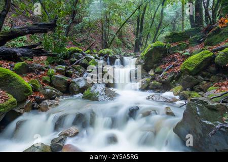 Chutes d'eau UVAS Canyon jaillissant après de fortes pluies. Morgan Hill, comté de Santa Clara, Californie, États-Unis. Banque D'Images