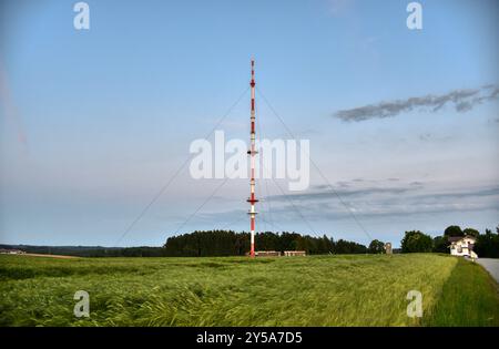 Pfarrkirchen, Sender, Sendemast, Grundnetzsender, UKW, DAB+, Digitalradio, DVB-T2, Fernsehen, Radio. Antenne, Bayern, Mast, Stahlrohrmât, abgespannt, Banque D'Images
