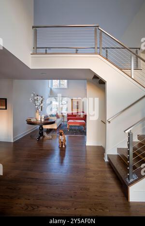Chien assis dans le hall d'entrée avec escalier ouvert menant au deuxième étage Banque D'Images