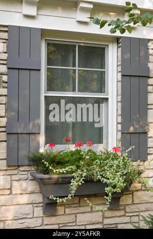 Fenêtre avec boîte de fenêtre pleine de fleurs et volet gris et garniture Banque D'Images