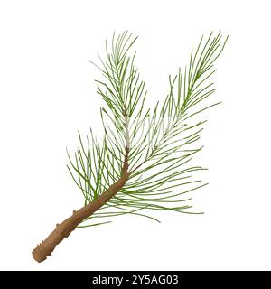 Noël pelucheux branche de sapin illustration numérique couleur aquarelle pour une utilisation dans l'impression : cartes, affiches, coupons, réductions, emballage Banque D'Images