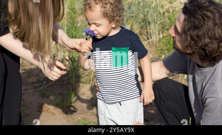 Maman, papa et fils en promenade dans la campagne en été dans le champ de blé. Famille et soins. Nature et mode de vie. Banque D'Images