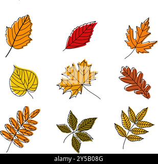 Ensemble de feuilles d'automne. Illustration de Vecteur
