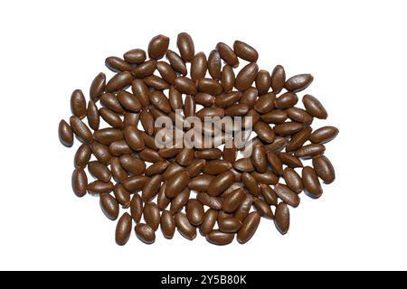 Graines de pomme à sucre isolées sur fond blanc, graines de fruits, vue de dessus, chemin de coupe, pose à plat. Banque D'Images