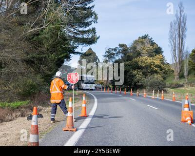 Hawke’s Bay, Nouvelle-Zélande - 23 août 2024 : contrôleur de la circulation tenant un panneau Stop. Autobus circulant dans la direction opposée sur une voie. Banque D'Images