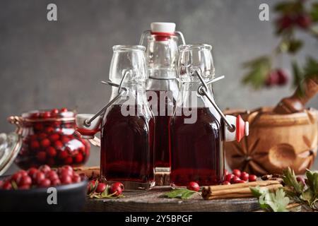 Bouteilles de vin médicinal maison à base de baies d'aubépine sauvages fraîches Banque D'Images