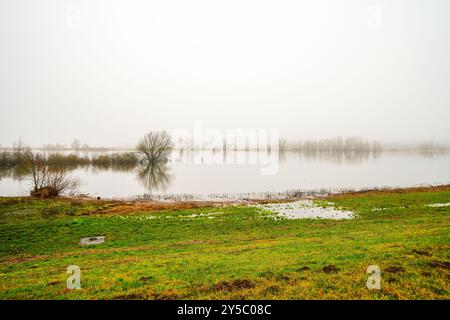 Paysage sur l'Elbe près de Dömitz. Nature au bord de la rivière par une journée nuageuse. Banque D'Images