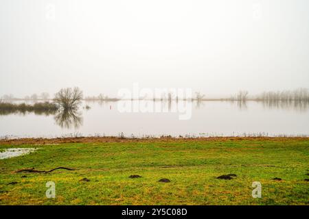 Paysage sur l'Elbe près de Dömitz. Nature au bord de la rivière par une journée nuageuse. Banque D'Images