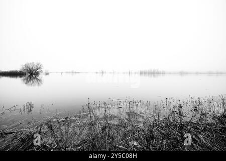 Paysage sur l'Elbe près de Dömitz. Nature au bord de la rivière par une journée nuageuse. Banque D'Images