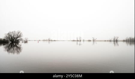 Paysage sur l'Elbe près de Dömitz. Nature au bord de la rivière par une journée nuageuse. Banque D'Images