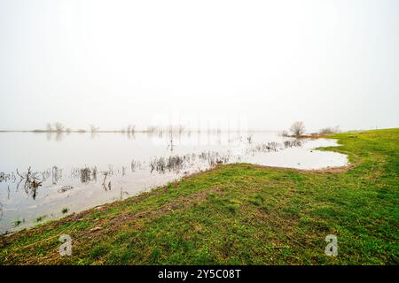 Paysage sur l'Elbe près de Dömitz. Nature au bord de la rivière par une journée nuageuse. Banque D'Images