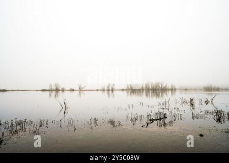 Paysage sur l'Elbe près de Dömitz. Nature au bord de la rivière par une journée nuageuse. Banque D'Images