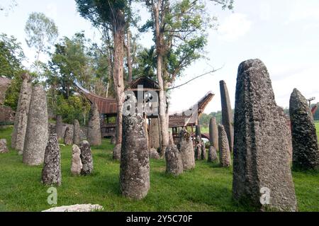 Site funéraire mégalithique de Stone Torajan dans le village de Bori, Tana Toraja, Sulawesi, Indonésie Banque D'Images