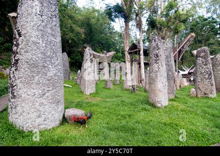 Site funéraire mégalithique de Stone Torajan dans le village de Bori, Tana Toraja, Sulawesi, Indonésie Banque D'Images