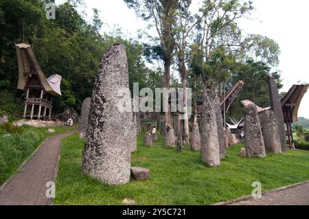 Site funéraire mégalithique de Stone Torajan dans le village de Bori, Tana Toraja, Sulawesi, Indonésie Banque D'Images