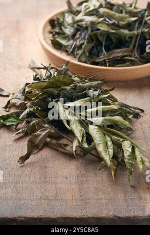 gros plan des feuilles de curry fraîches séchées à l'air sur le dessus de table de la cuisine pour conserver et stocker pour une utilisation à long terme, herbe aromatique et aromatisante utilisée dans les currys et Banque D'Images