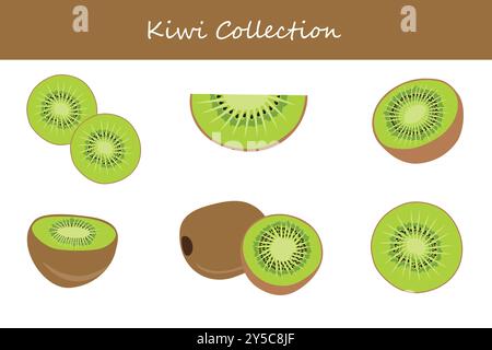collection kiwi dans différentes poses. Illustration vectorielle. Illustration de Vecteur